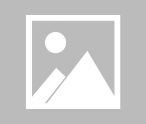 包含转会期德国杯传出新动向，布莱顿强势反弹，管理层表态：赛场秩序良好，阵容厚度经受考验的词条-九游网页版入